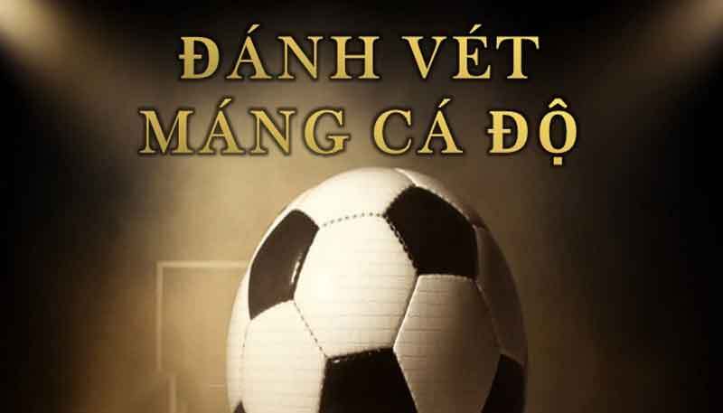 Điểm qua 3 cách vét máng hiệu quả nhất dành cho cược thủ