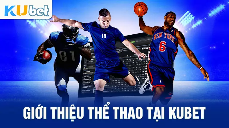 Hướng Dẫn Newbie Cách Cá Cược Thể Thao Tại Kubet Từ A-Z