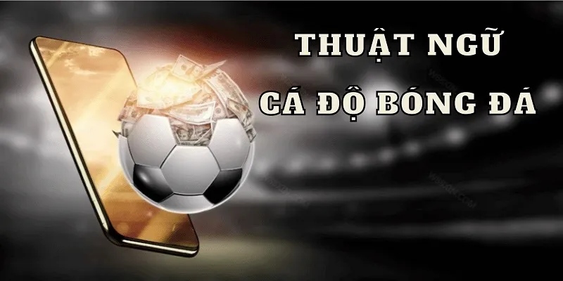 7ball Bật Mí Thuật Ngữ Cá Độ Bóng Đá Phổ Biến Cần Nắm 2024