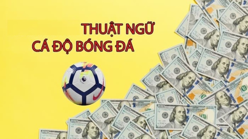 Tất tần tật thuật ngữ cá độ trong bóng đá mà bạn cần biết -